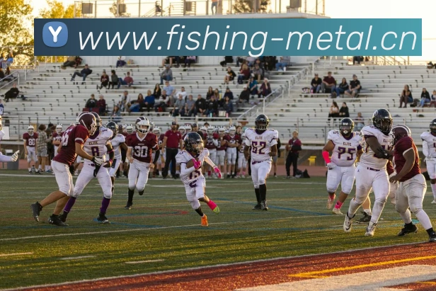 App Interface Preview